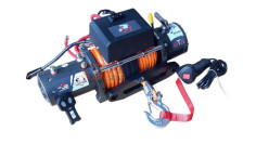 SEILWINDE ELECTRIC PS9500S CARP