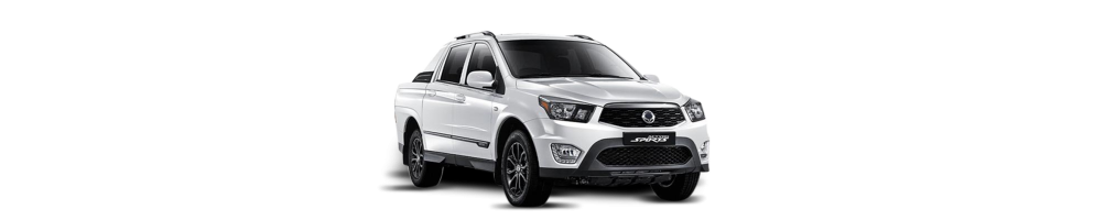 Ssang Yong