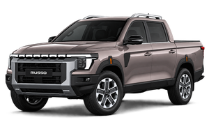 Accesorii Pickup Ssang Yong
